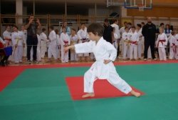 13 medalj za dolenjske karateiste na tekmovanju v Sevnici