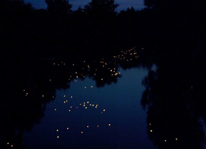 Lučke na nočni Krki. (Foto; M. L.)
