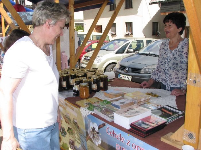 Na Medni tržnici so razstavili tudi čebelarsko orodje in opremo iz Levstikovega obdobja. (Foto: M. L.-S.)