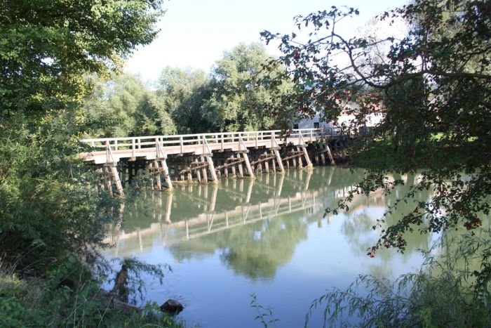 Pri severnem mostu je Krka čista tudi tokrat. (Foto: M. L.)
