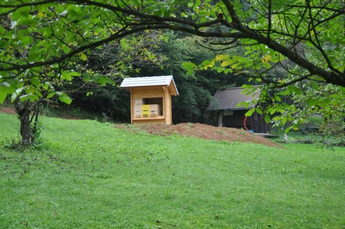 Šola energetsko obnovljena, postavili učni čebelnjak