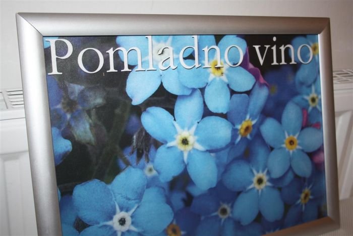 Pomladno vino 2015 (41), Pomladno_vino_2015__41_
