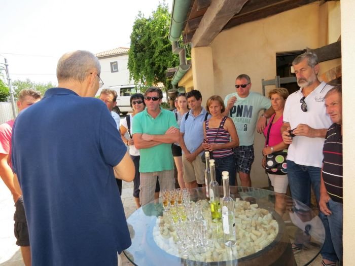 Metliški vinogradniki v Istri in na Krku