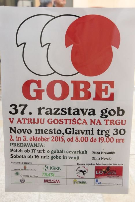 gobe35