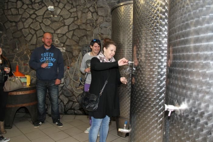 Praznik vina na Bizeljskem