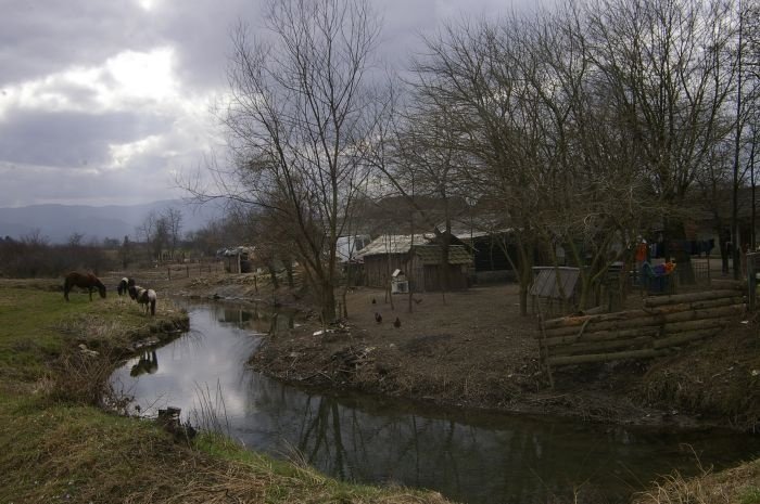 Iz potoka, ki naj bi bil močno onesnažen, pije večina Romov v Dobruški vasi. (Foto: arhiv DL)
