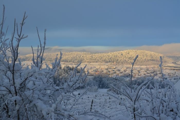 Današnja zimska idila nad Novim mestom (Foto: M. M.)