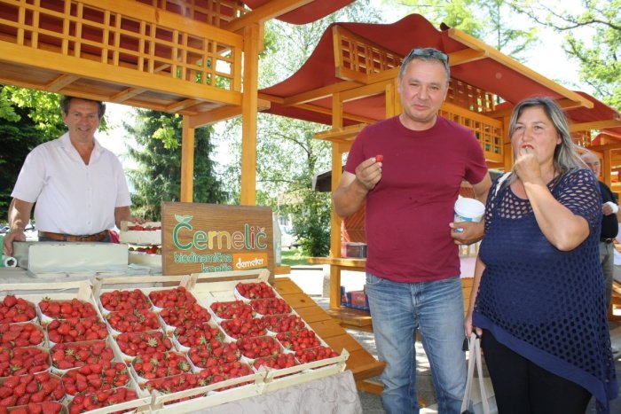 Zvone Černelič (levo) je na prireditvi izrazil željo, da bi ekološki pridelovalci lahko prodali več ekološke hrane ustanovam na svojem območju. Foto: M. L.