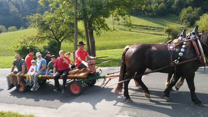 FOTO: 16. pohod Društva prijateljev konj Višnja Gora