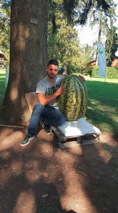 Janko Lovše s svojo 60-kilogramsko lubenico.