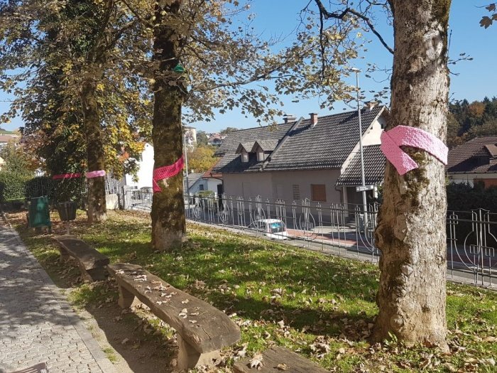 Rožnati opomin na rak dojk tudi pred novomeško gimnazijo. (Foto: Gimnazija Novo mesto)