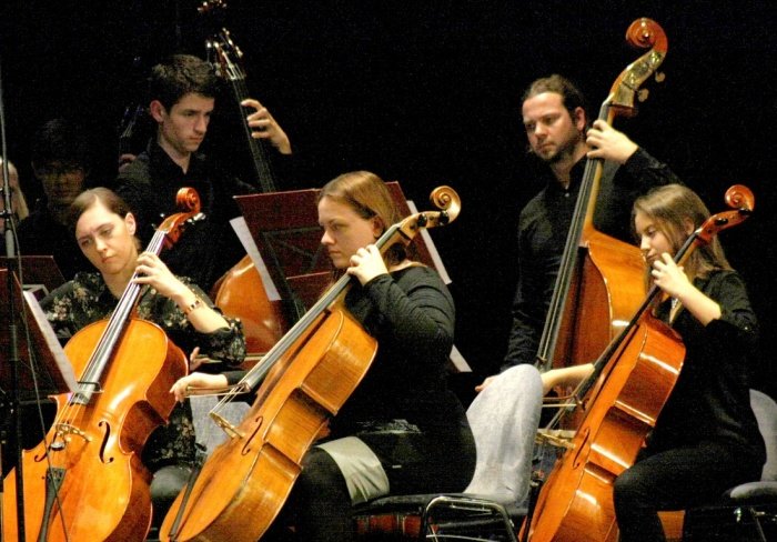 Muziciral je Simfonični orkester Glasbene šole Krško. (Foto: M. L.)