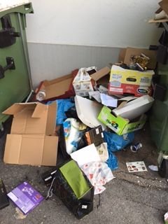 Pravi kaos pri odlaganju odpadkov