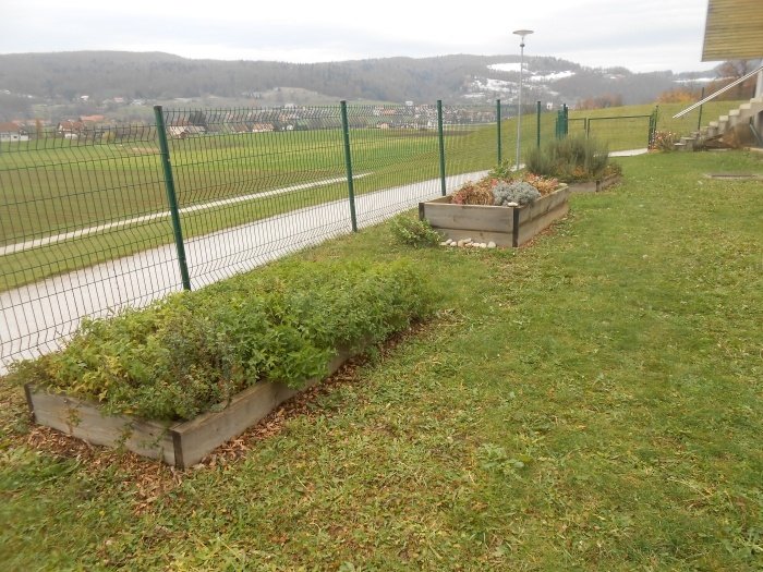 Ob OŠ Stična imajo tudi zeliščni vrt, ki je nastal v enem od prejšnjih mednarodnih projektov.