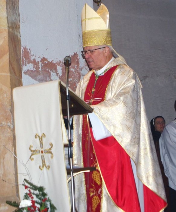 Novomeški škof msgr. Andrej Glavan. (Foto: J. A., arhiv DL)