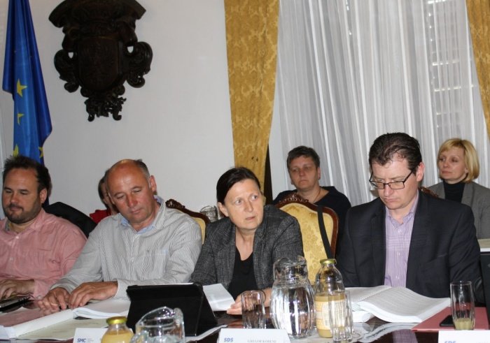 Direktorica Centra (za socialno delo Sevnica Danica Božič (tretja z leve) je poročala o pomoči na domu. Foto: M. L.)