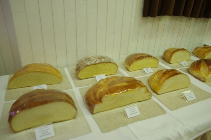 FOTO: Kar 66 zlatih priznanj za kruh v Beli Cerkvi!