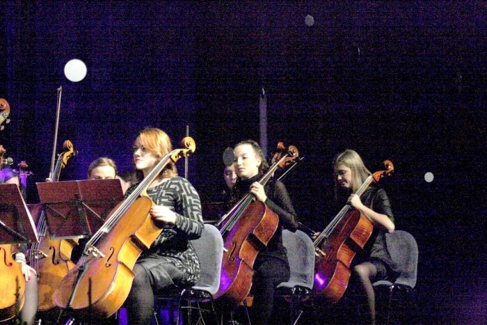 Slovesnost so sklenili s koncertom Simfoničnega orkestra Glasbene šole Krško. (Foto: M. L.)