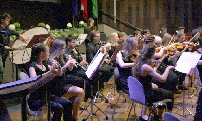 Del Simfoničnega orkestra Glasbene šole Krško (Foto: M. L.)