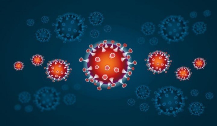 V soboto ob 2438 testih potrdili 614 okužb z novim koronavirusom