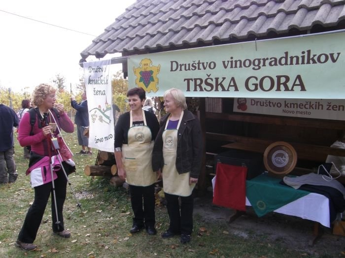 Vinogradniki obljubljajo pestro dogajanje na Trški gori. (Foto: arhiv DL)