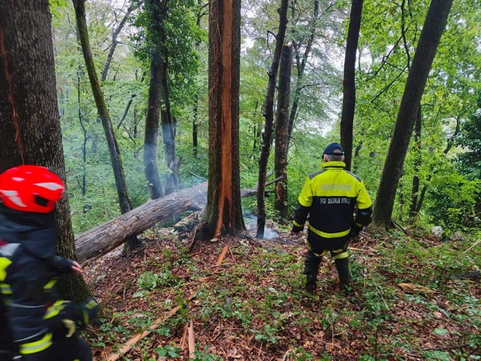 Na Straški gori strela zanetila ogenj v gozdu (Foto: PGD Dolenja Straža)