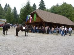 FOTO: 11. belokranjska razstava konj