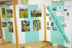 Fotografska razstava mladih metelkarjev o Knobleharjevi občini je na ogled v prostorih osnovne šole.