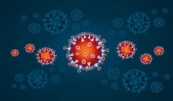 V petek potrdili 1636 okužb z novim koronavirusom (Novo mesto 52, Krško  37 ...) umrlo 47 bolnikov 