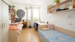 Za posteljo v ljubljanskem študentskem domu je vrsta dolga. (Foto: ŠDL)