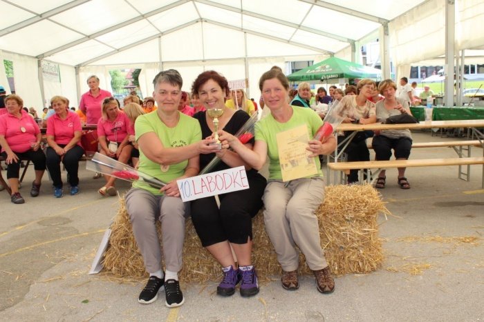 Zmagovalke Labodke Društva žena in deklet na vasi občin Gorje in Bled so na Dolenjskem slavile že drugič.
