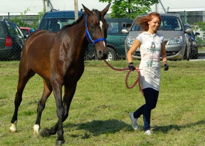 Vesna Šuštarčič na razstavi konj v Šentjerneju pred nekaj leti. (Foto: L. M.)