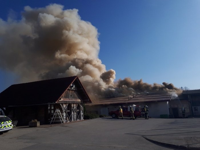 FOTO: Gori na kmetijski šoli Grm; požar omejen, škoda velika