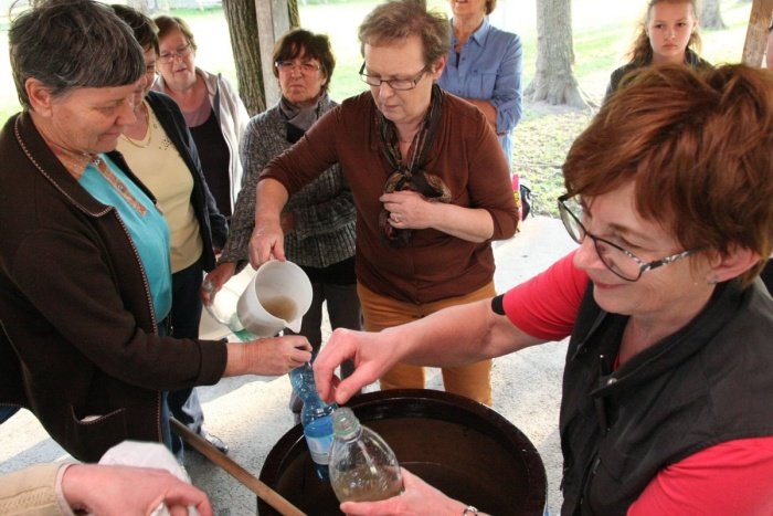 Kako naredimo gnoj po Mariji Thun? (Foto: B. Blaić, arhiv DL)