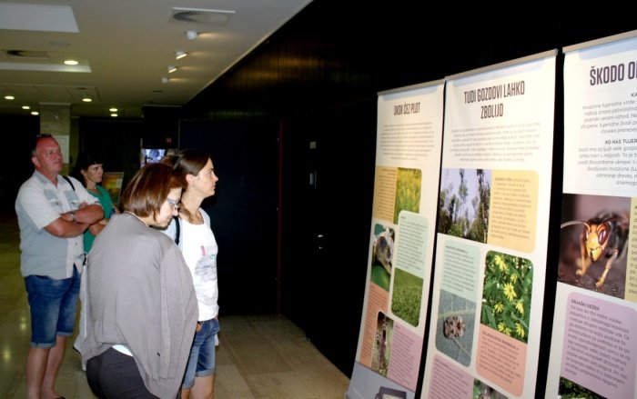 Obiskovalci so si v avli ogledali razstavo, ki je odprta do 14. avgusta. (Foto: M. L.)