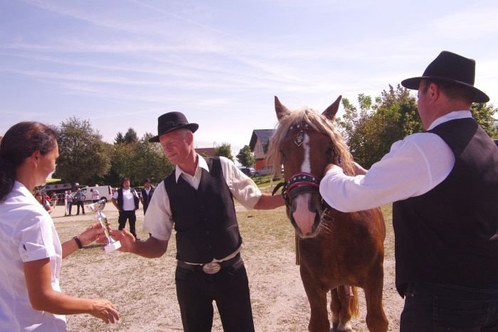 5. dan slovenskega hladnokrvnega konja v Šentjerneju