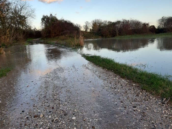 Tako je Sava pred nekaj urami že poplavila polja in ceste. (Foto: Z. T.)