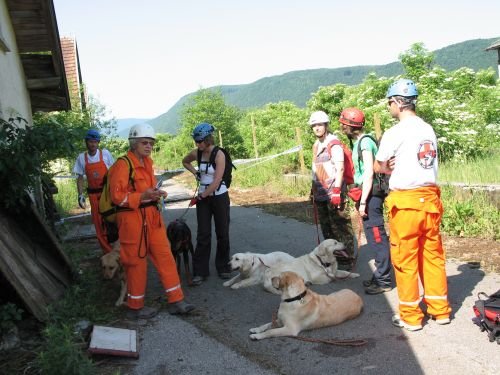 Vodniki z reševalnimi psi so bili pripravljeni pomagati tudi sinoči, pa na srečo to ni bilo potrebno ... (foto: arhiv DL)