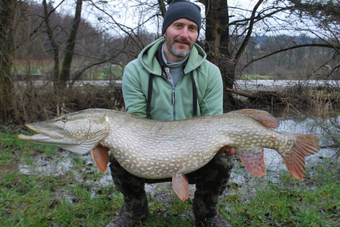 Robert Smolič, specialist v lovu na velike ribe, je že januarja letos s tole ščuko podrl rekord, tudi svojega! (Foto: Zoran Leko)