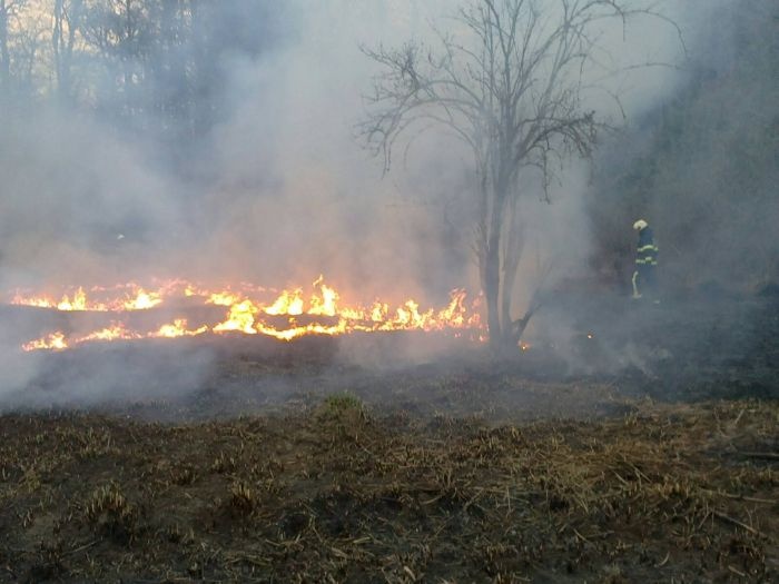Zadnje dni imajo gasilci veliko dela z gašenjem travniških požarov. Tudi v dimnikih velikokrat zagori. (foto: arhiv DL)