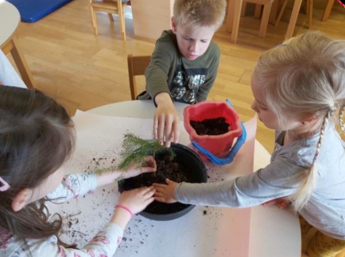 Otroci škocjanskega vrtca Radovednež iz skupine Mehurčki so za Svetovni dan Zemlje sadili rastline. (Foto: Vrtec Radovednež)
