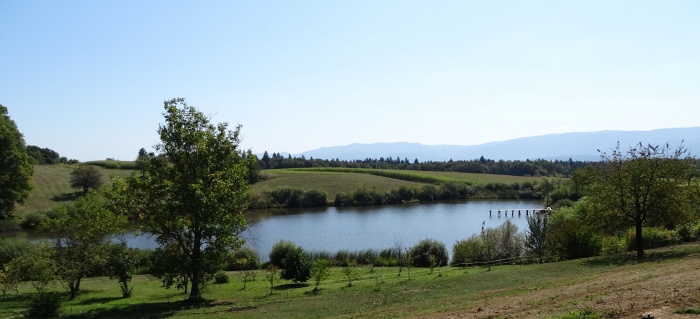 Okrog hektar in pol veliko jezero trikotne oblike je globoko od 10 do 15 metrov.