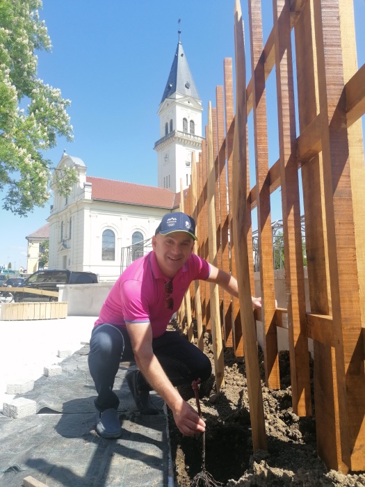 FOTO: Zasadili trte prve Cvičkove brajde v Šmarjeti