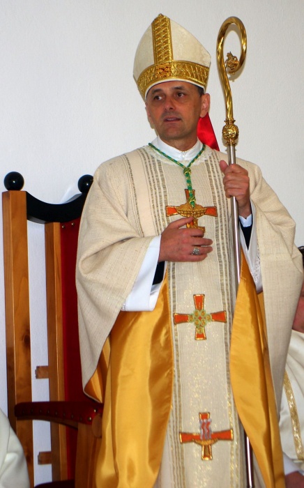 Škof Saje je mirnopeški rojak.