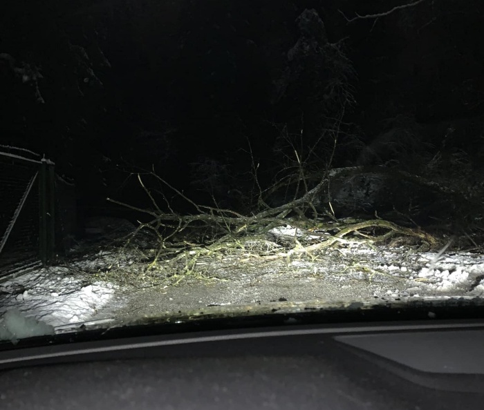 Sicer pa včerajšnja in davišnja stalnica na cestah - padlo drevje. (Foto: FB PKD)